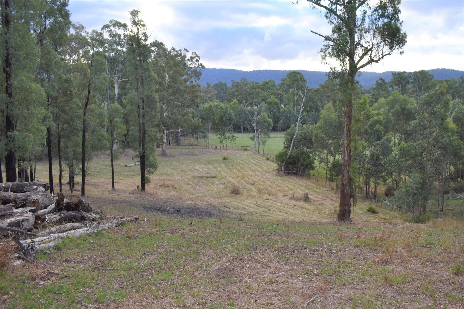 1301 Maroondah Highway, Narbethong VIC 3778, Image 2