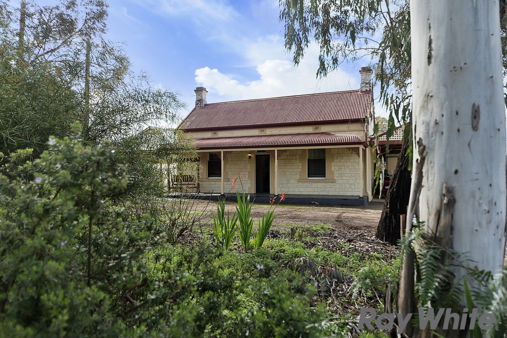 67a Main North Road, Willaston SA 5118, Image 2