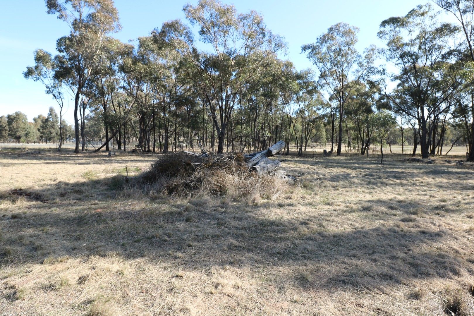 Ryan Street, Newbridge VIC 3551, Image 0