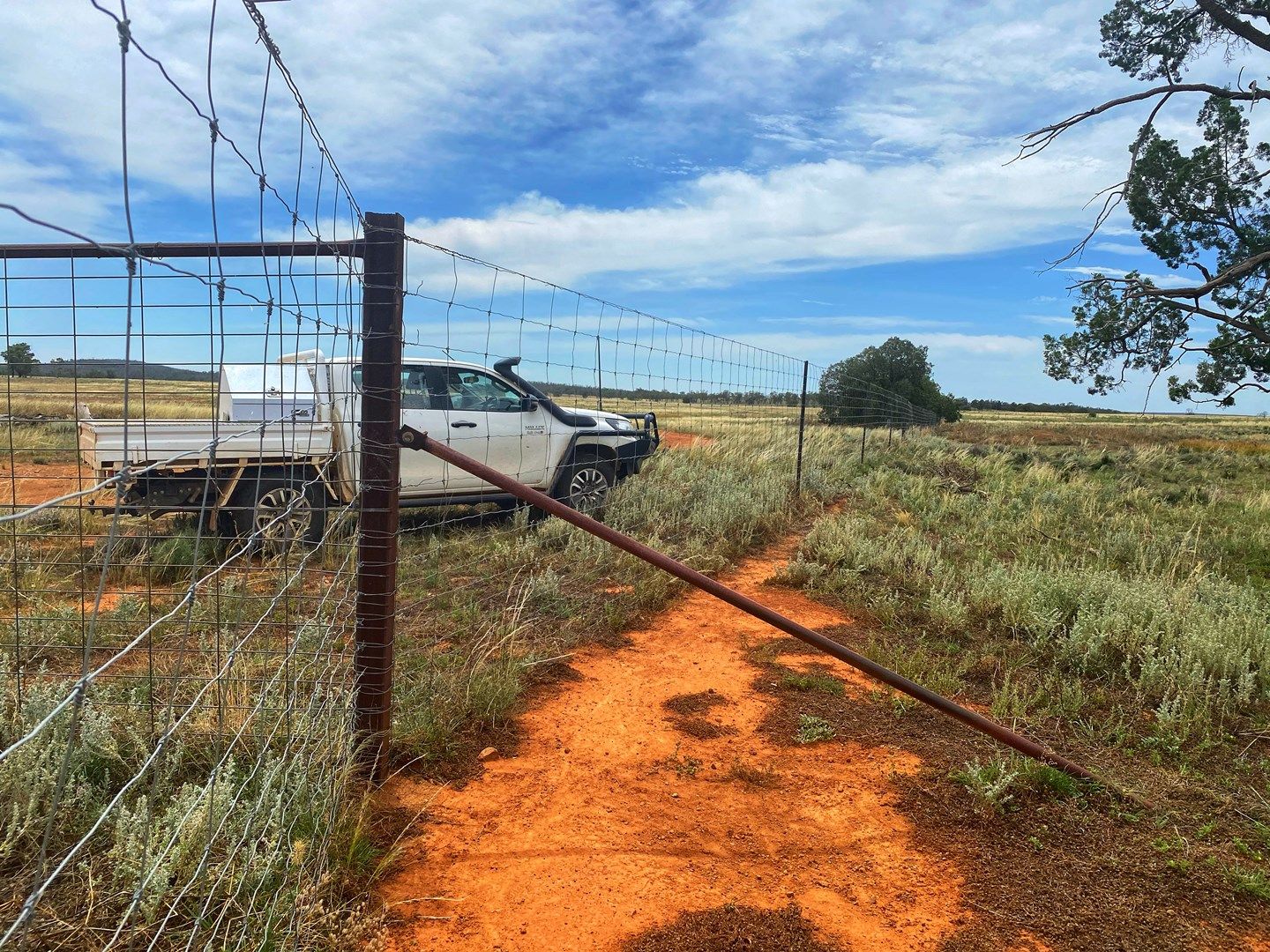 Fermoy 9286 The Bogan Way, Tullamore NSW 2874, Image 1