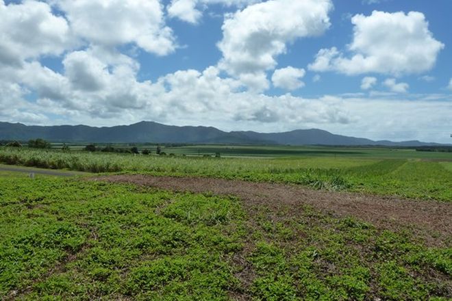 Picture of Lot 8 De Meio Drive, LOWER DAINTREE QLD 4873