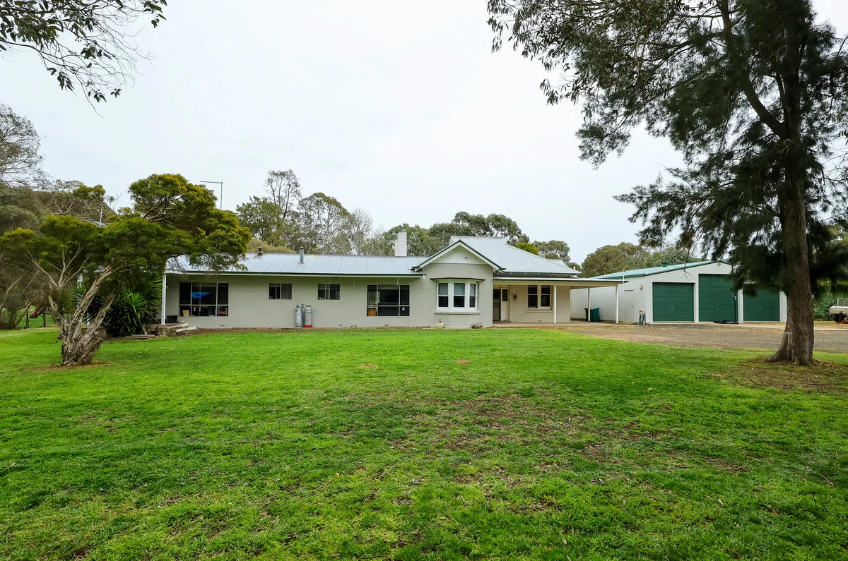 Image 29
