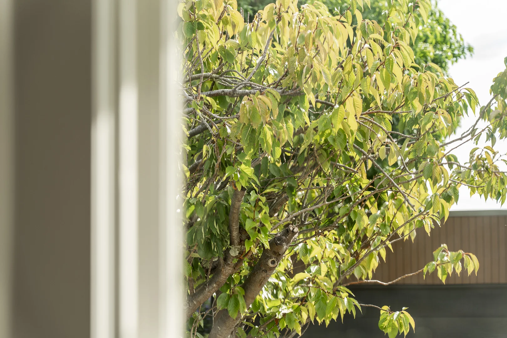 Additional image 25 of 17 Hilltop Avenue, Devonport TAS 7310