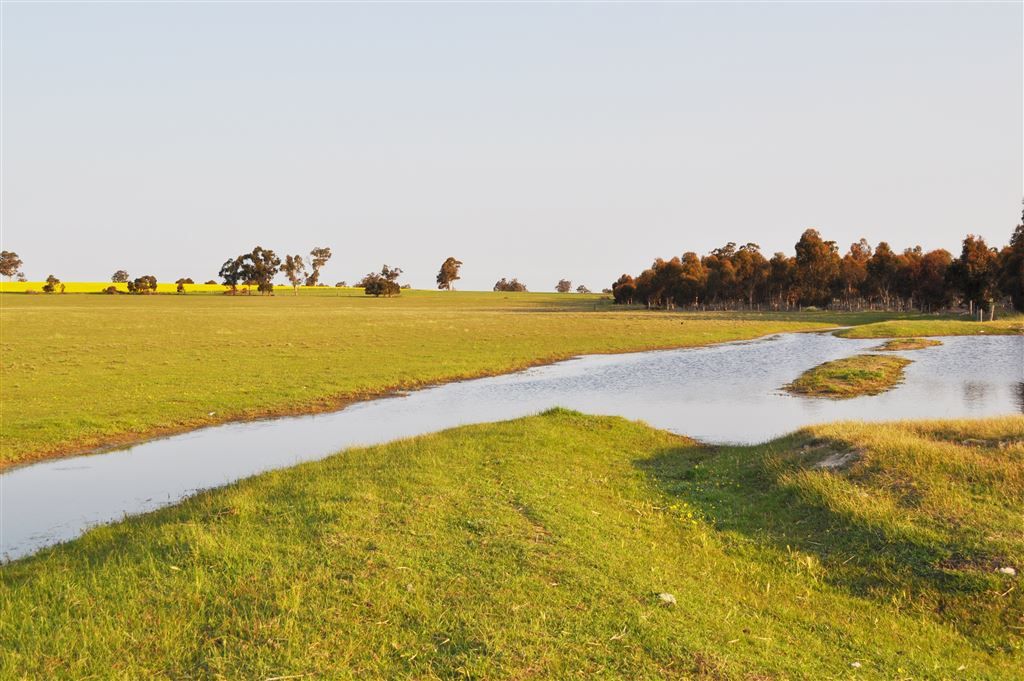 ' South Block', Kojonup WA 6395, Image 0