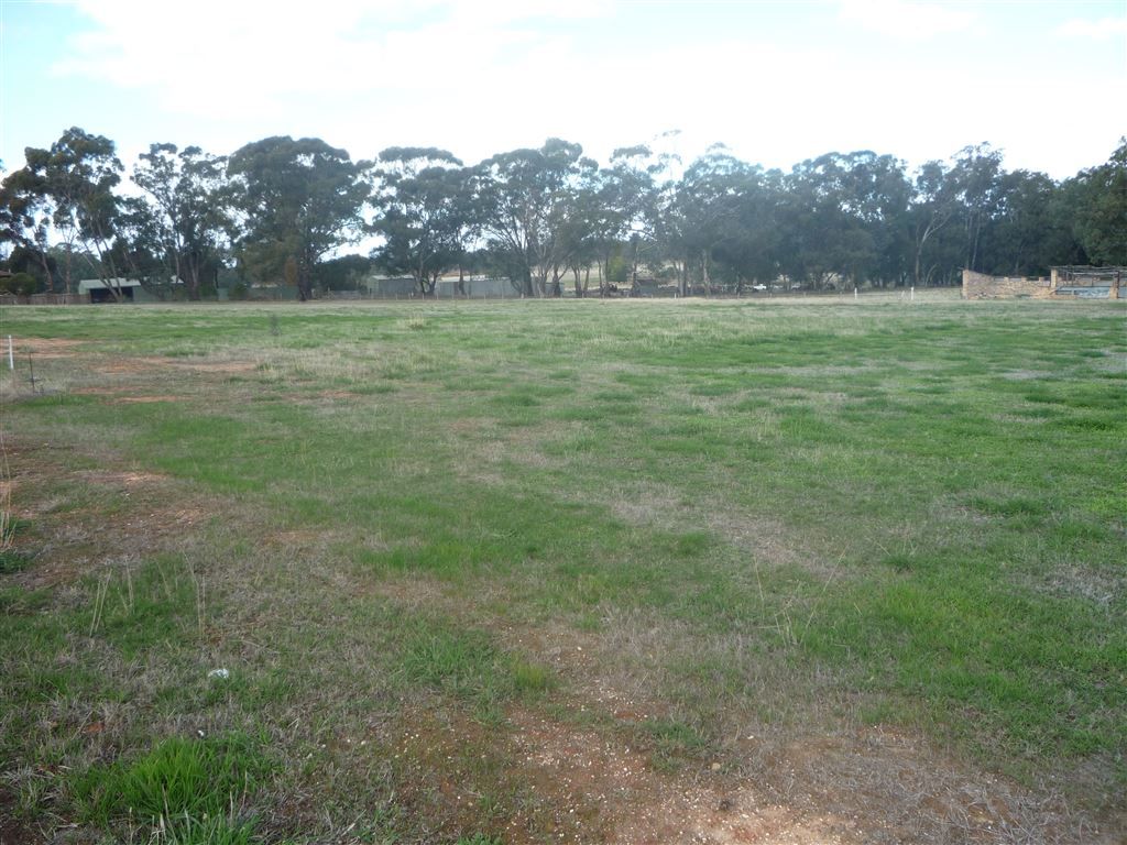 Lot 9 24 Inglewood Road, St Arnaud VIC 3478, Image 0