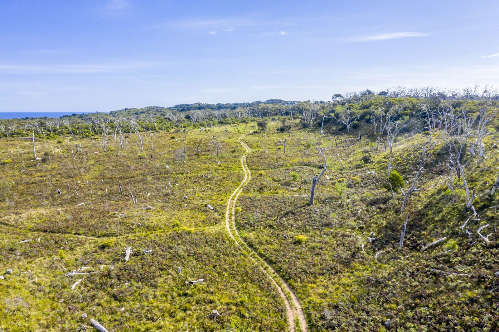 1010 Lighthouse Road, Cape Otway VIC 3233, Image 2