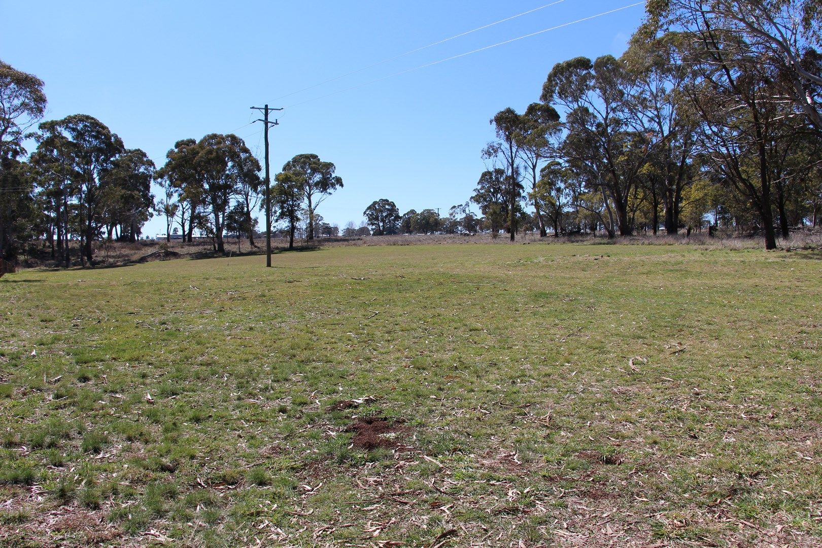 Lot 167 Jabez Hill Road, Guyra NSW 2365 Vacant Land for Sale 170,000