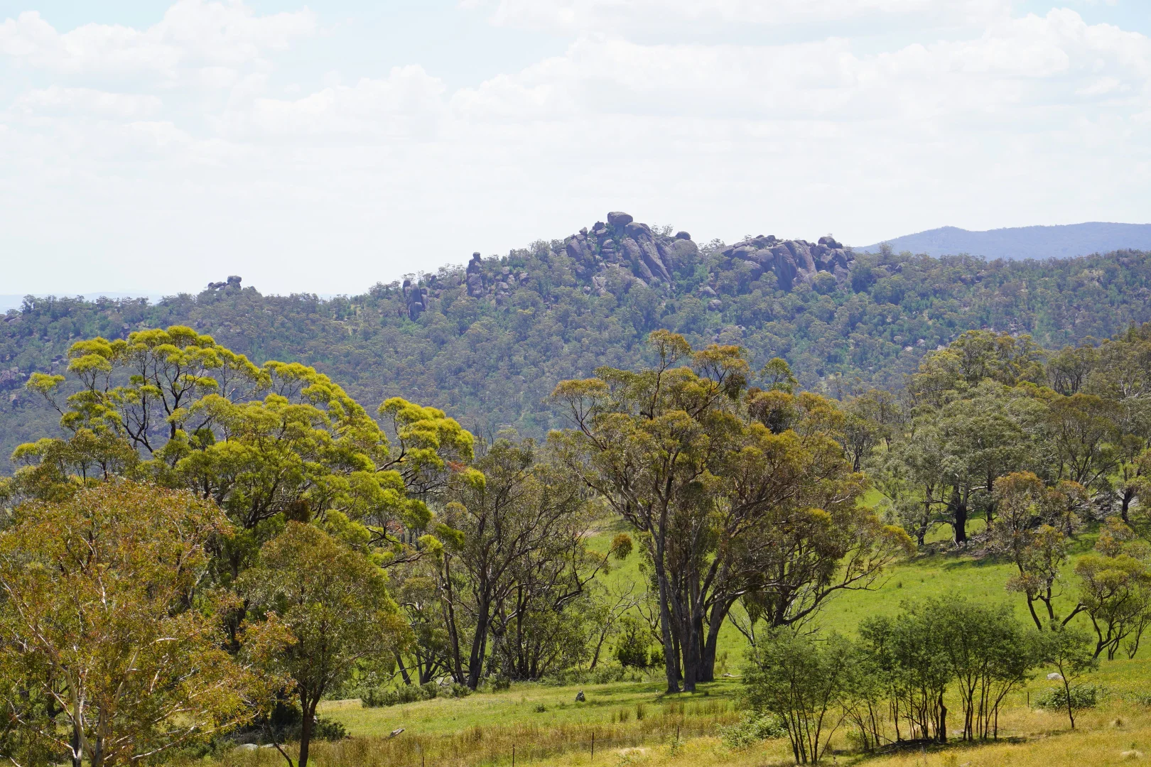Additional image 10 of 410 Honeysuckle Falls Road, Tarana NSW 2787
