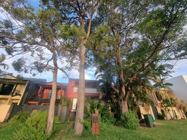 38 Karome Street, Pacific Paradise QLD 4564