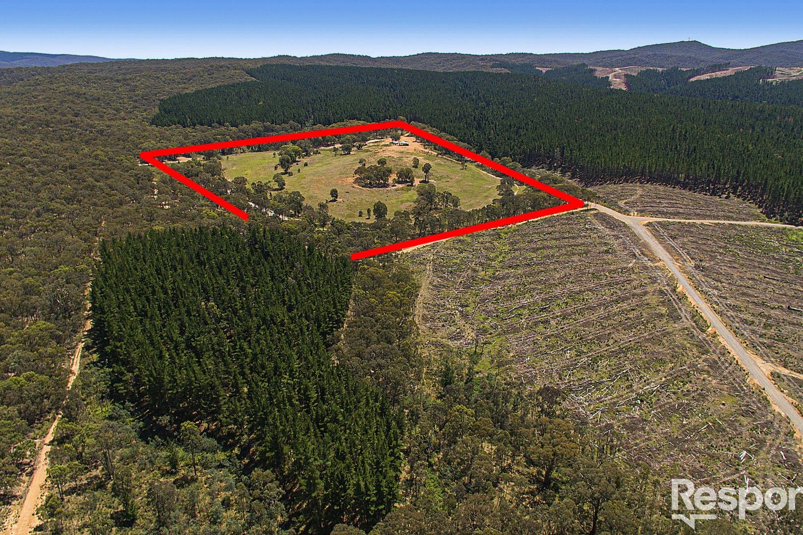 1587 Kentucky Road, Neville NSW 2799, Image 2