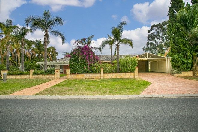 Picture of 37 Taywood Drive, WANNEROO WA 6065