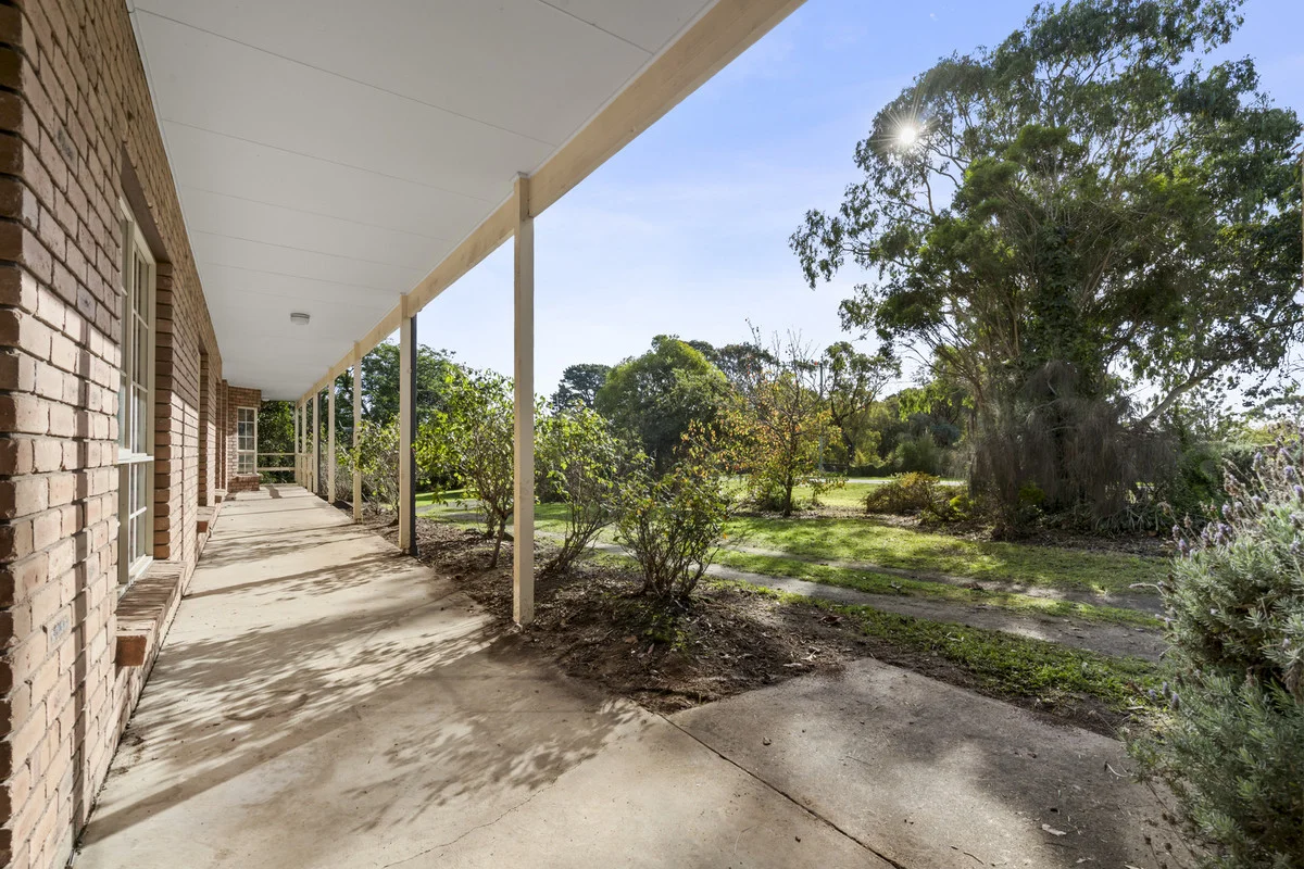 Image 15