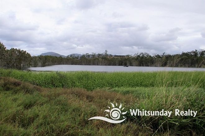 Picture of Lot 13 Thorogood Road, KELSEY CREEK QLD 4800