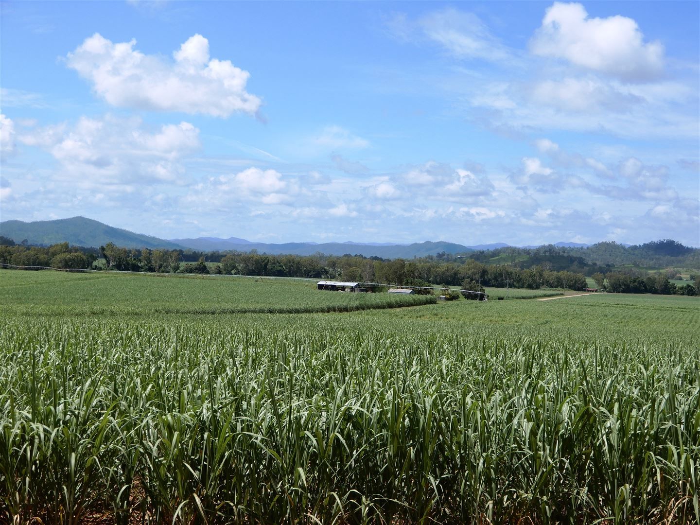 Gargett QLD 4741, Image 0