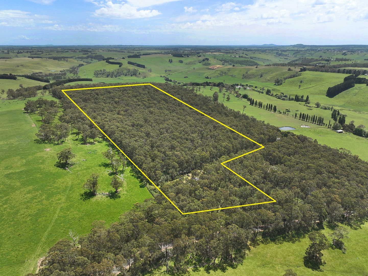 390 Old Port Campbell Road, Jancourt East VIC 3266, Image 2