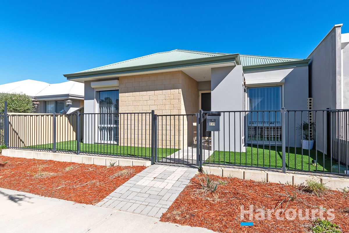 4 bedrooms House in 239 Camborne Parkway BUTLER WA, 6036