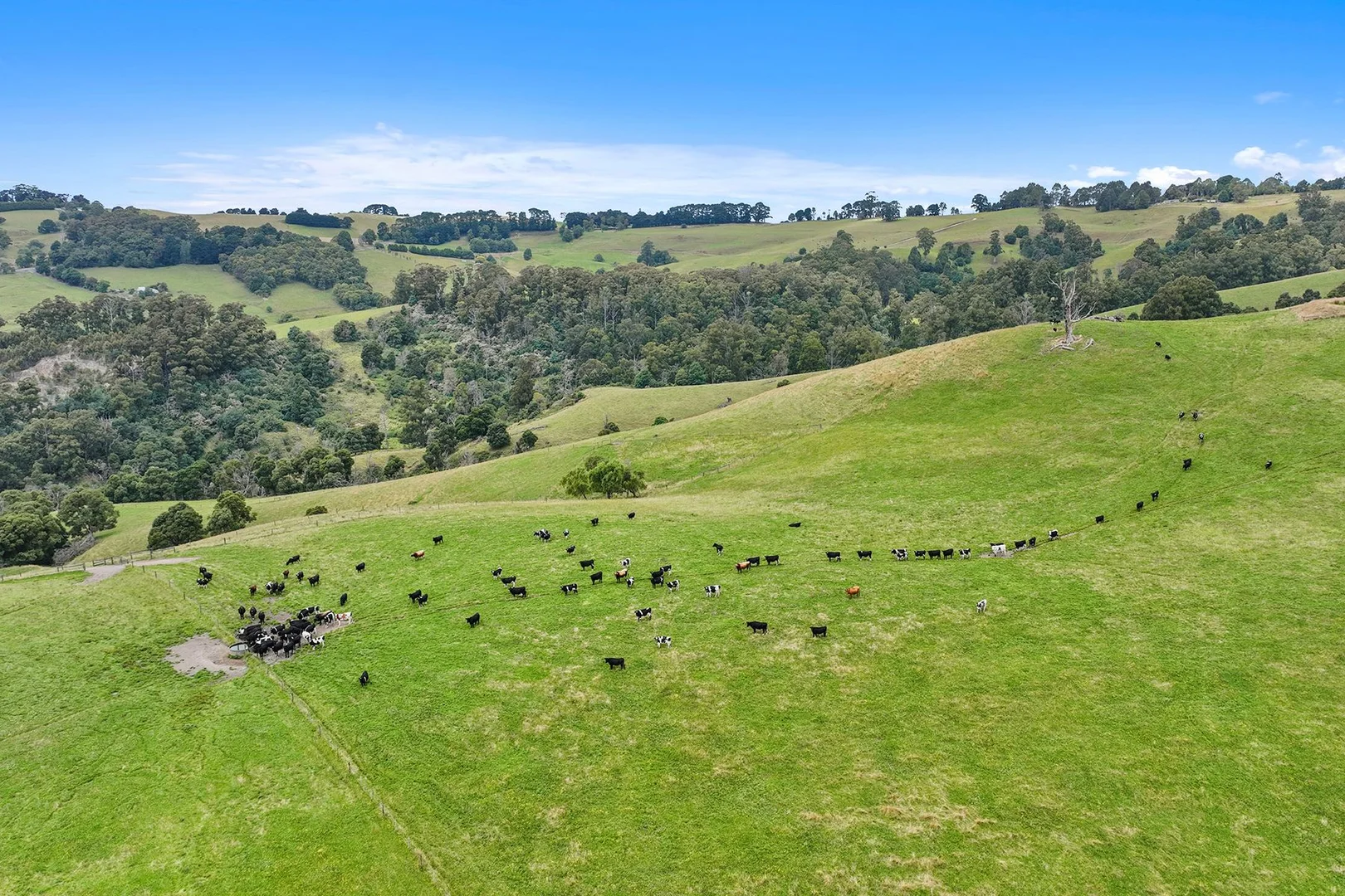 Additional image 32 of 244 Mirboo North-Trafalgar Road, Trafalgar South VIC 3824