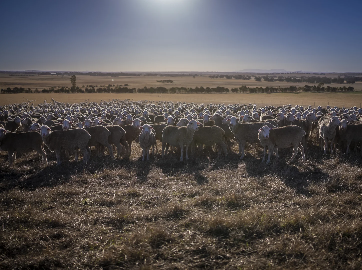 Additional image 33 of 1154 Stockyard Hill Road, Stockyard Hill VIC 3373