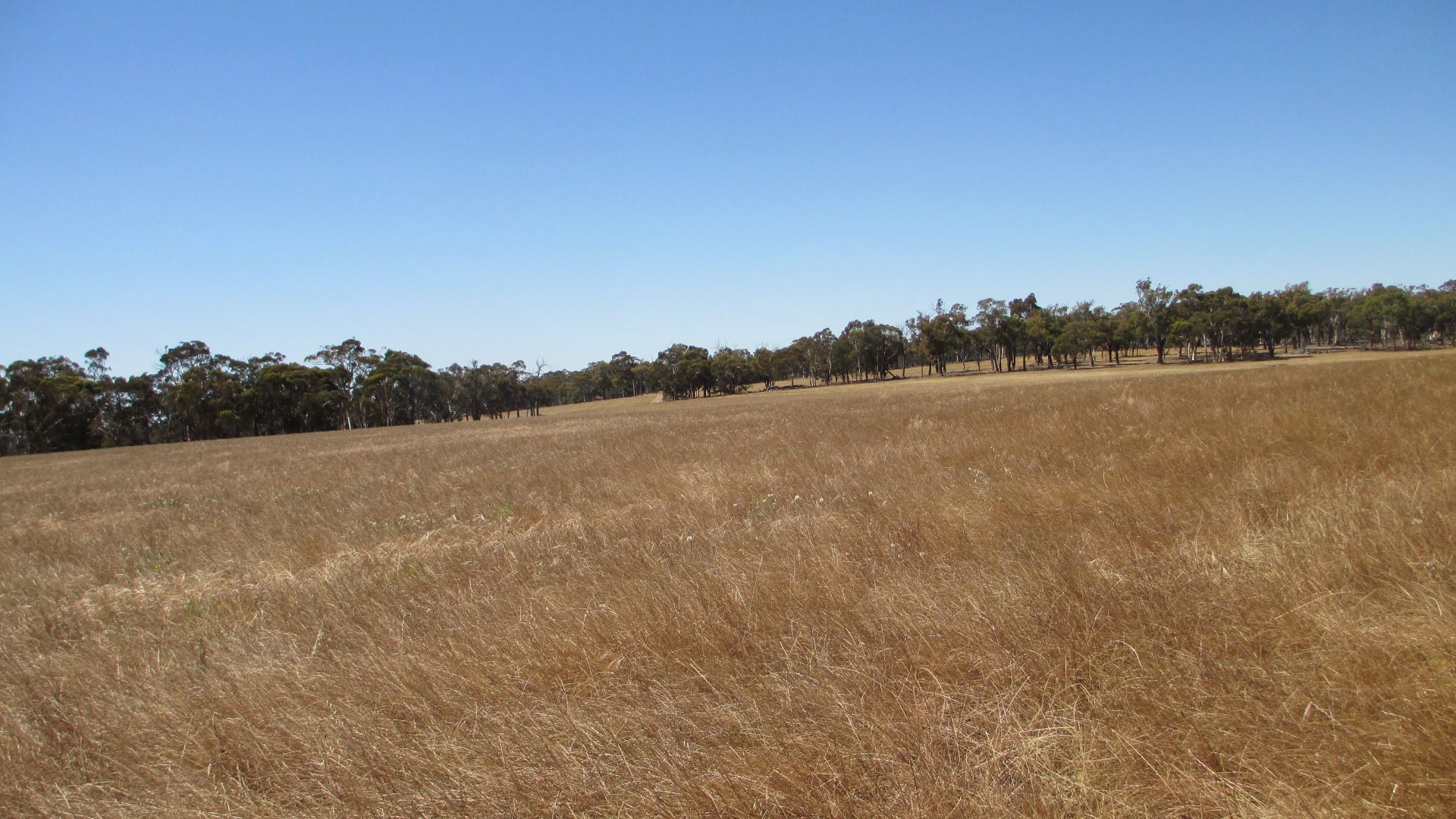 Lot 28116 Corser Road, Wandering WA 6308, Image 1