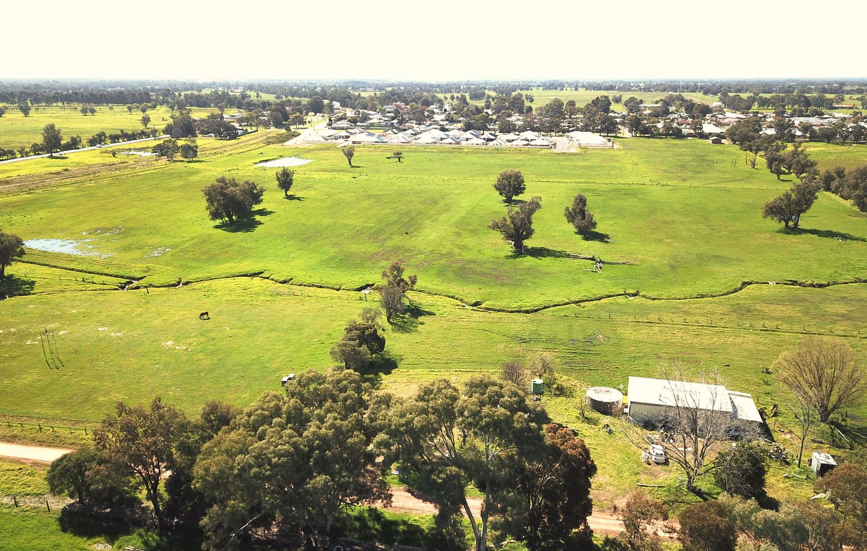 39 Fees Road, Dardanup WA 6236 Farm for Sale 628,000 Domain