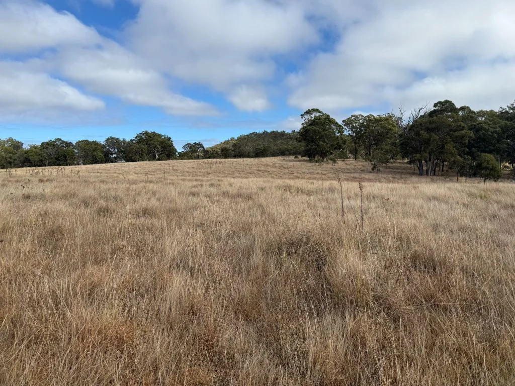Additional image 3 of 57 Nielsens Road, Sugarloaf QLD 4380