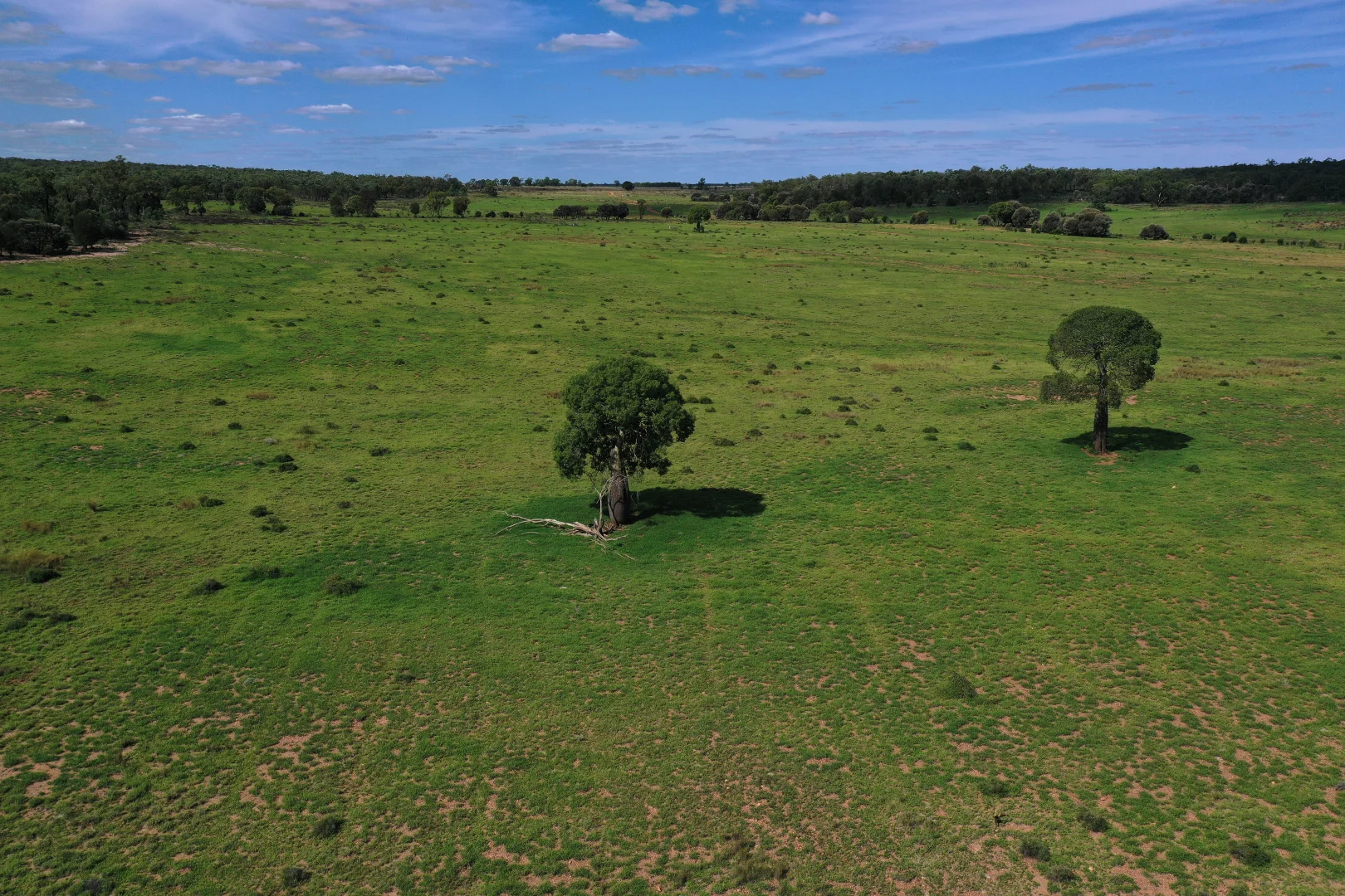 Additional image 29 of 952 Yuleba Surat Road, Yuleba QLD 4427