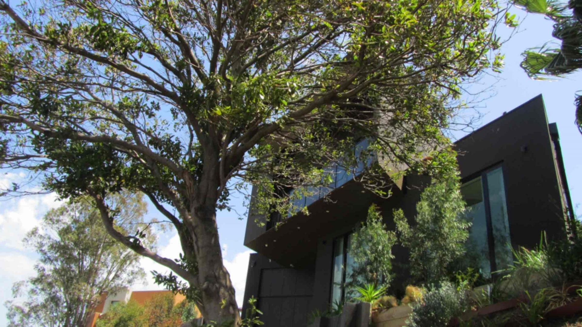 2 bedrooms Apartment / Unit / Flat in 1B Longview Street PASCOE VALE VIC, 3044