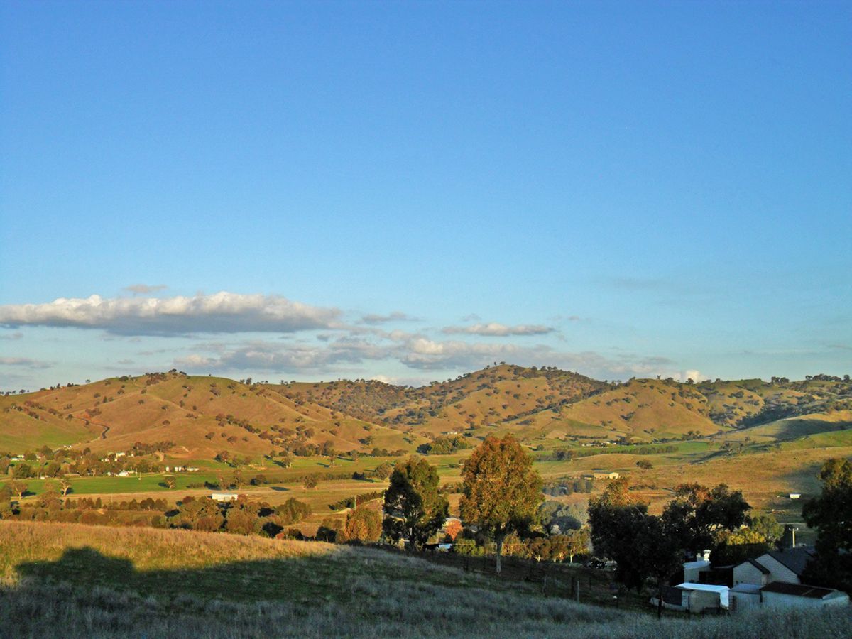 Lot 4 Springfield Lane, Gundagai NSW 2722, Image 1