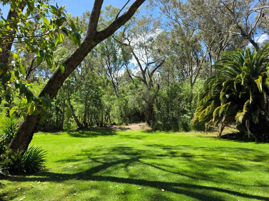 Young NSW 2594 - 4 beds house for Sale - 2021260675 | Domain