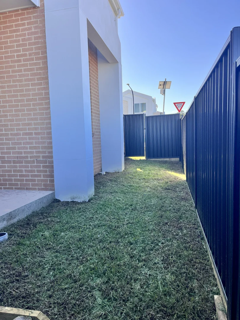 Image 19