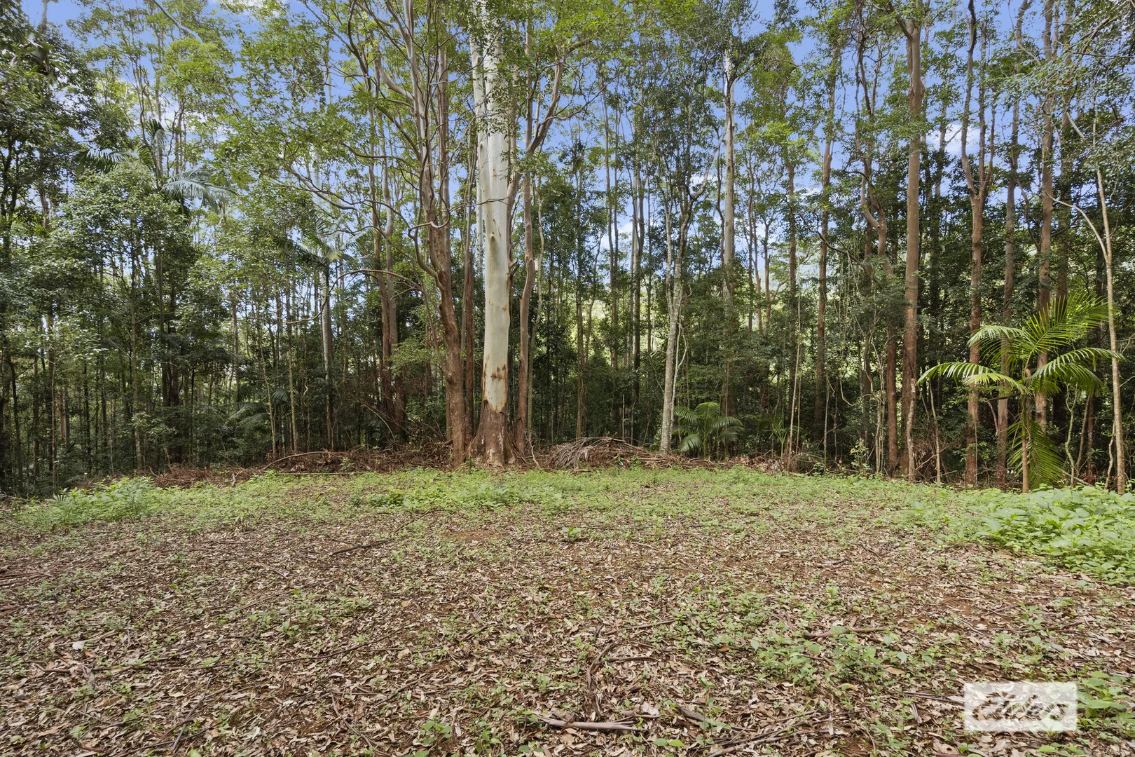 Additional image 15 of 374 Couchy Creek Road, Numinbah NSW 2484