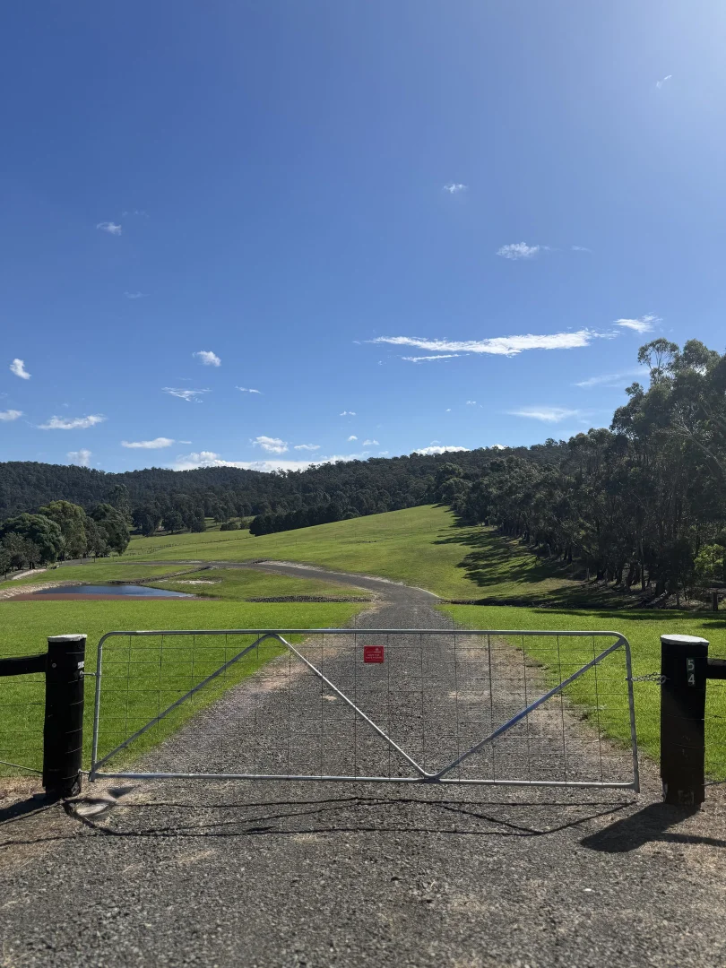 Additional image 4 of 54 Hilsley Court, Toongabbie VIC 3856