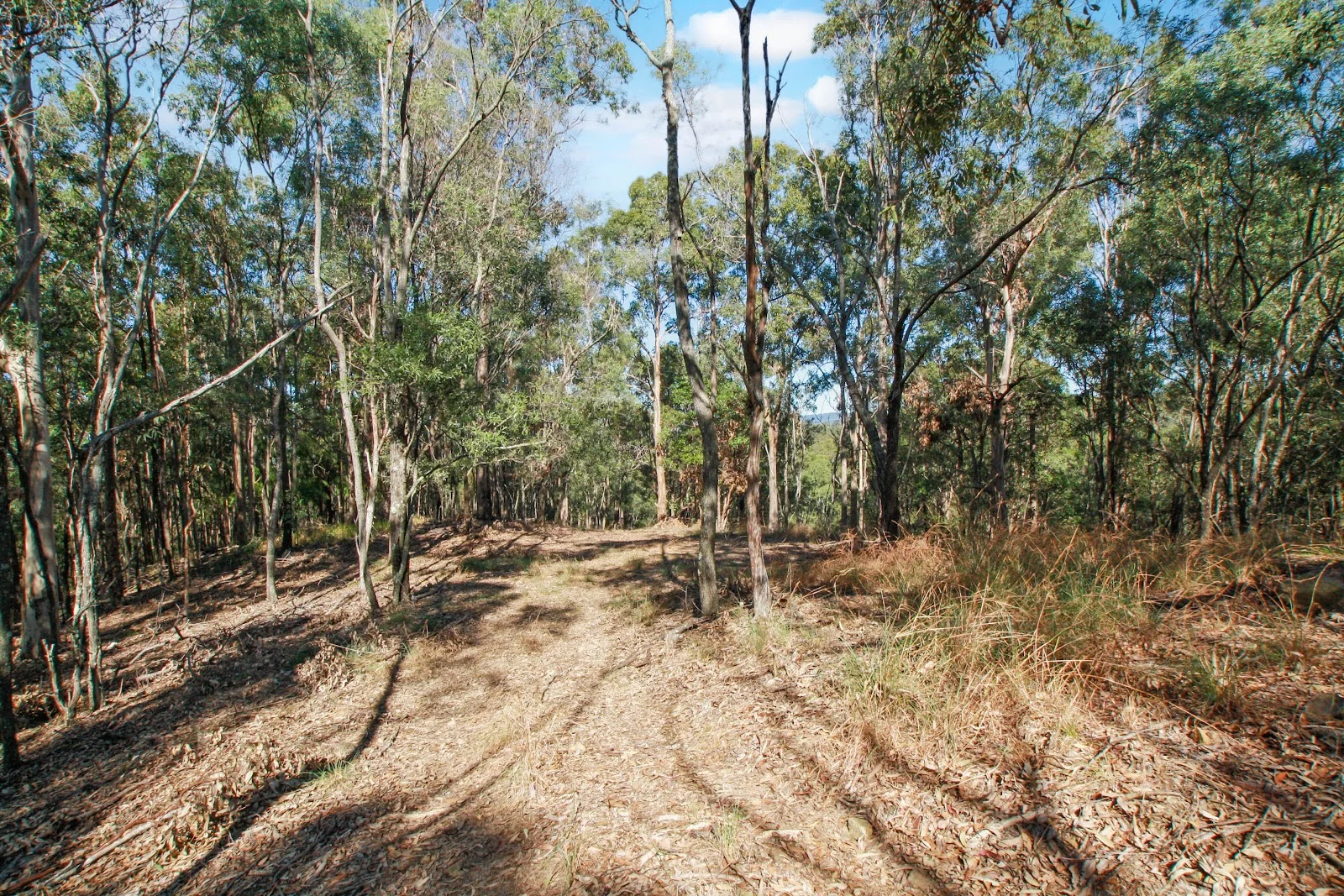 Image 16