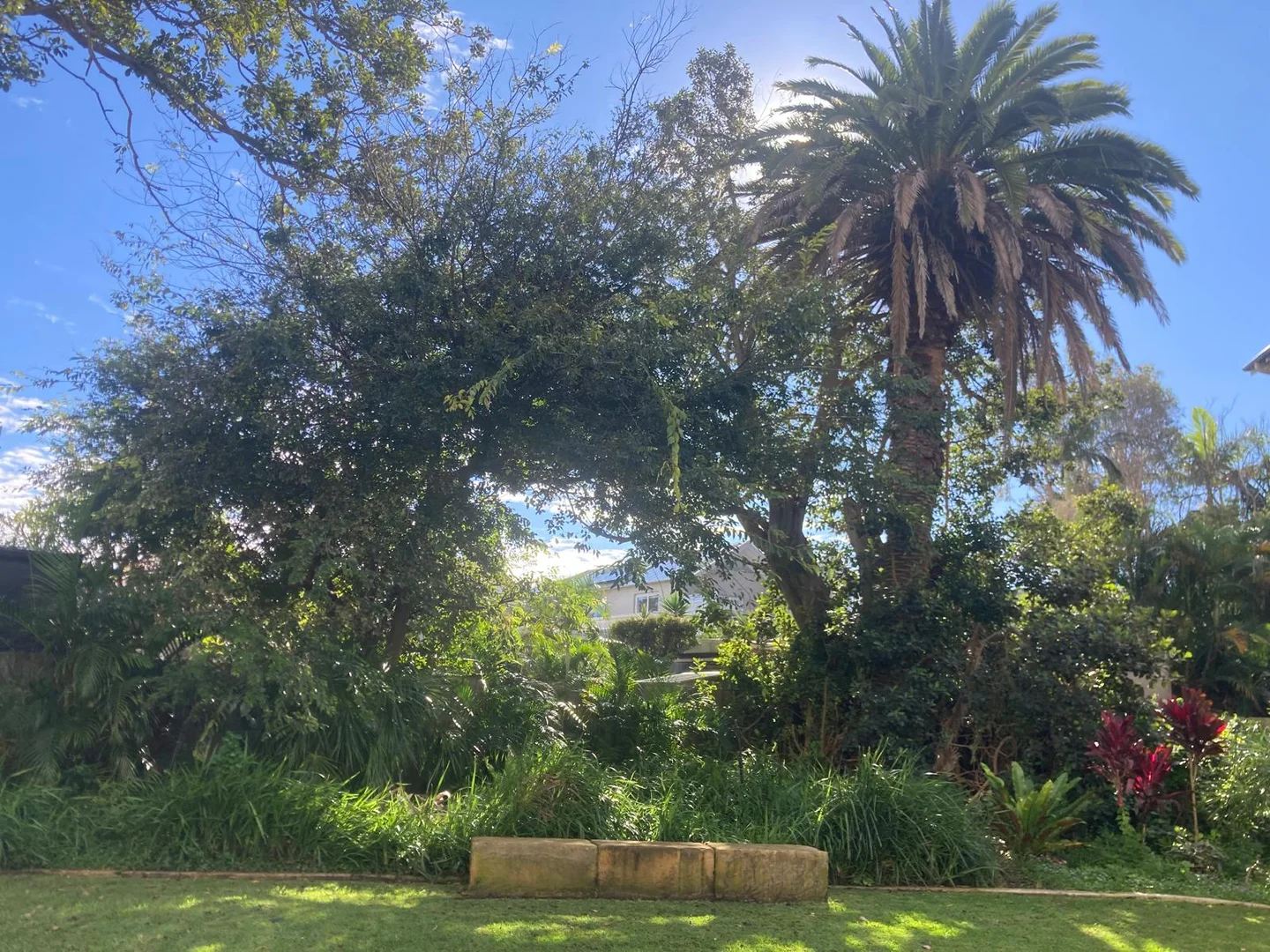 Additional image 19 of 21/20 Illawong Avenue, Tamarama NSW 2026