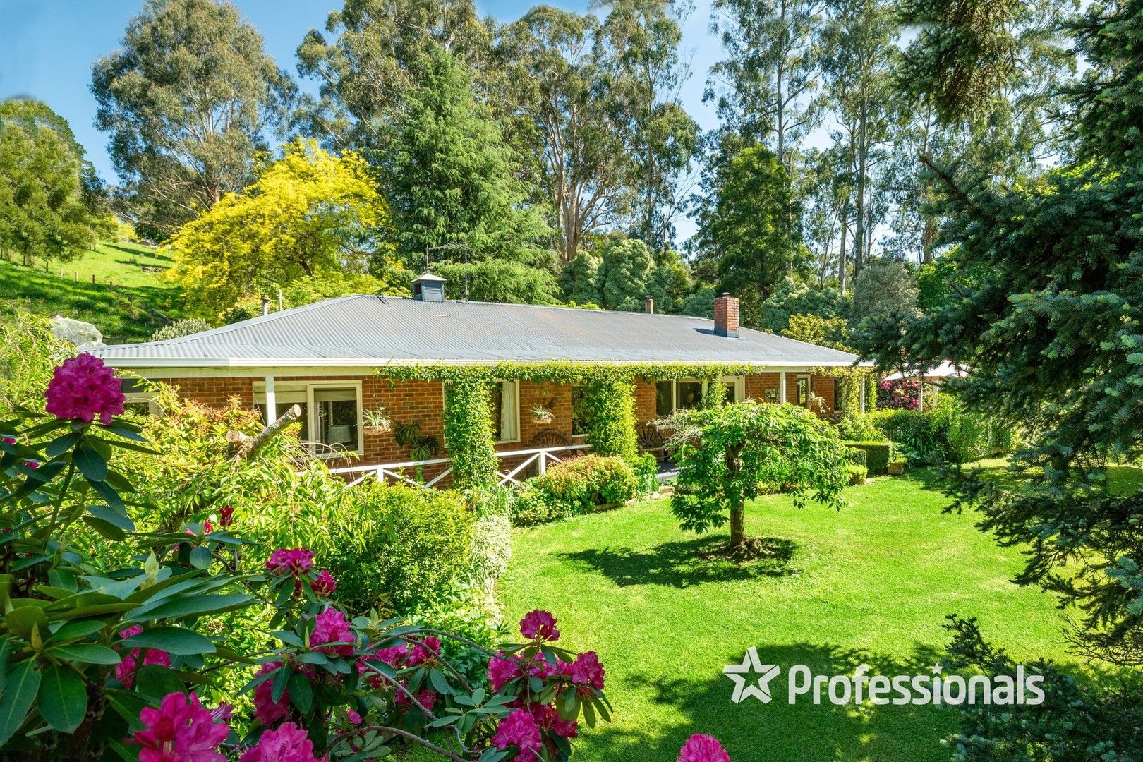 20 Daveys Lane, Hoddles Creek VIC 3139 House for Sale Domain