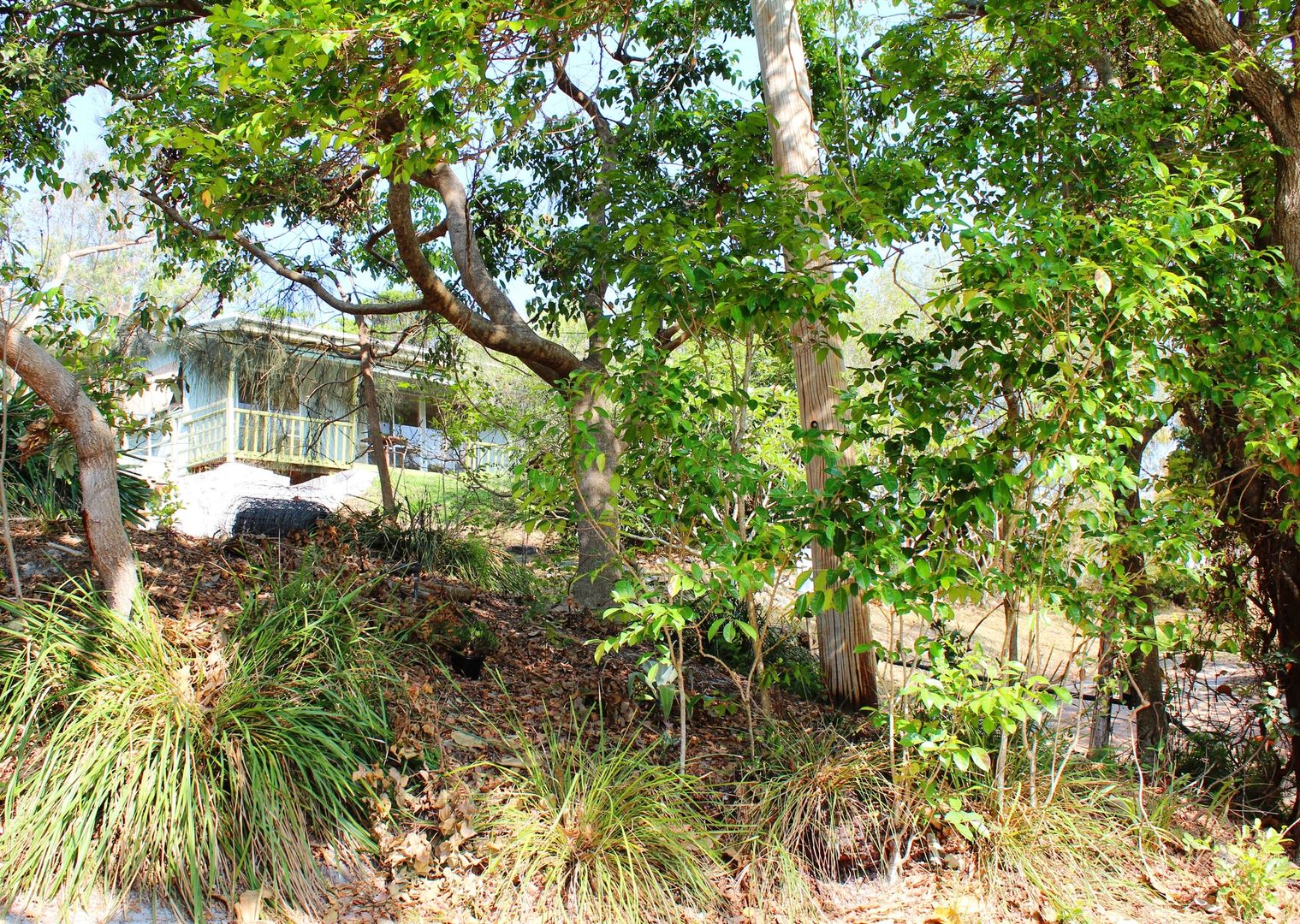 148 Camden Head Road, Camden Head NSW 2443, Image 1