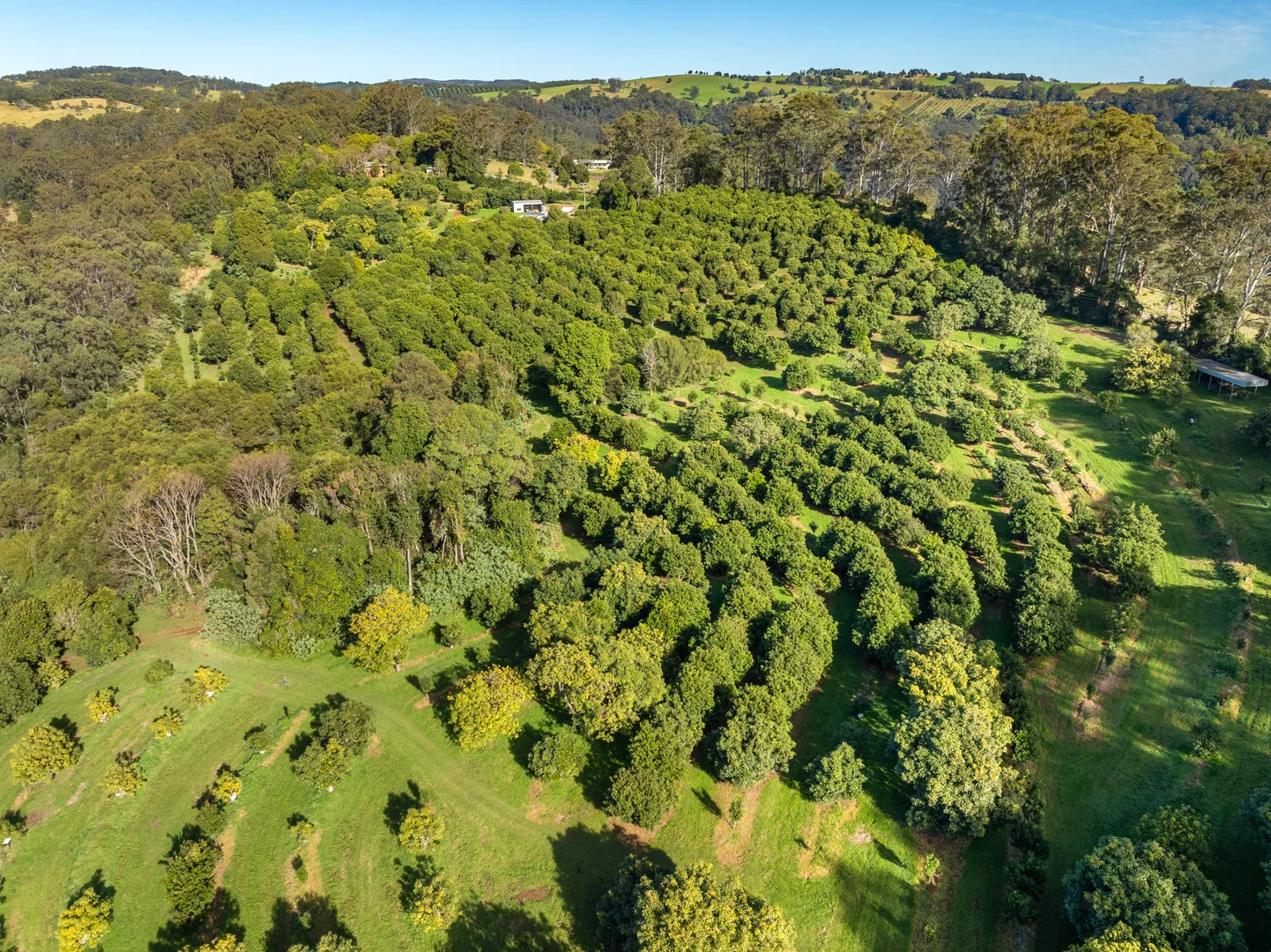 Additional image 22 of 480 Ponsfords Road, Comboyne NSW 2429