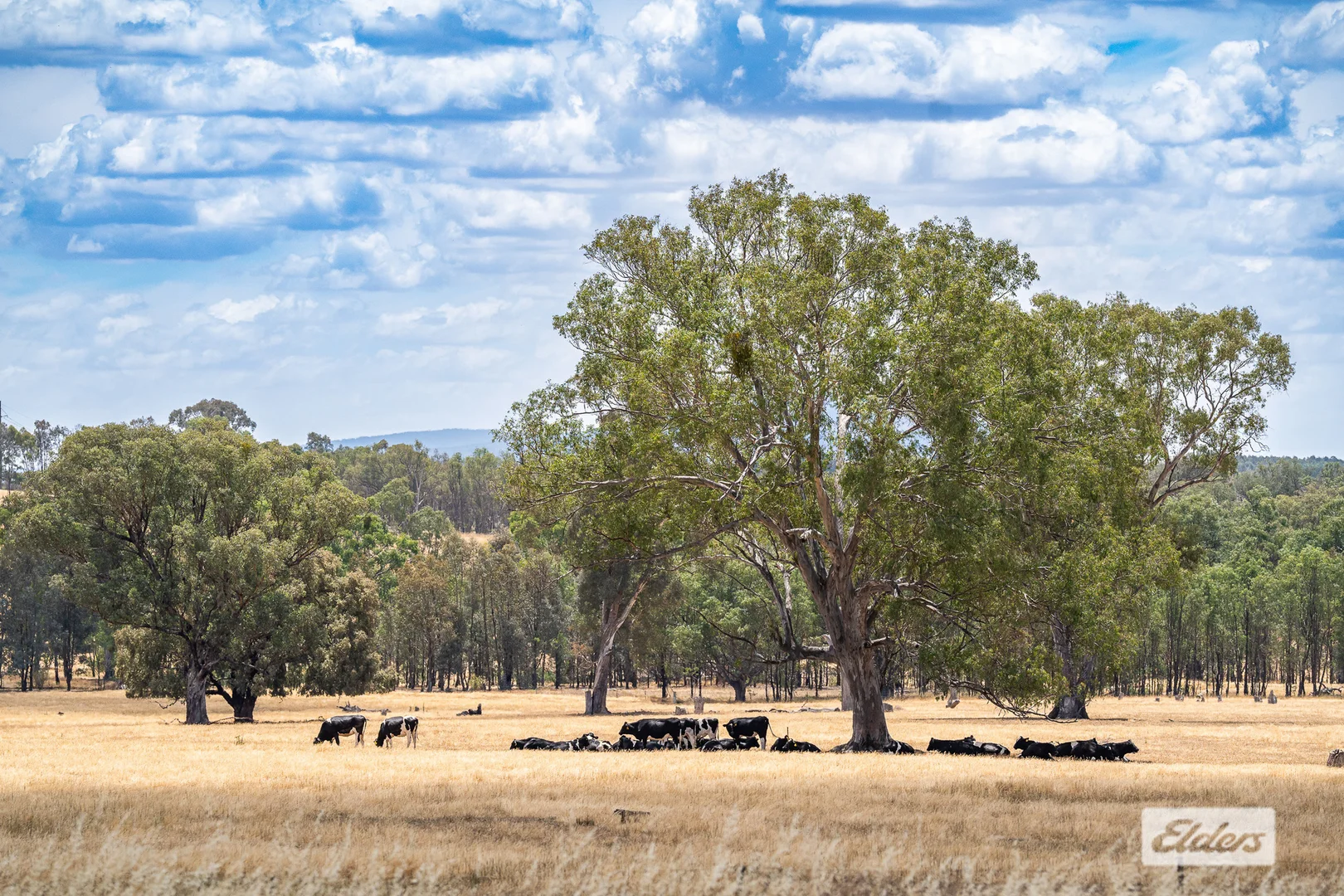 Additional image 19 of 14 Barnett Avenue, Thurgoona NSW 2640