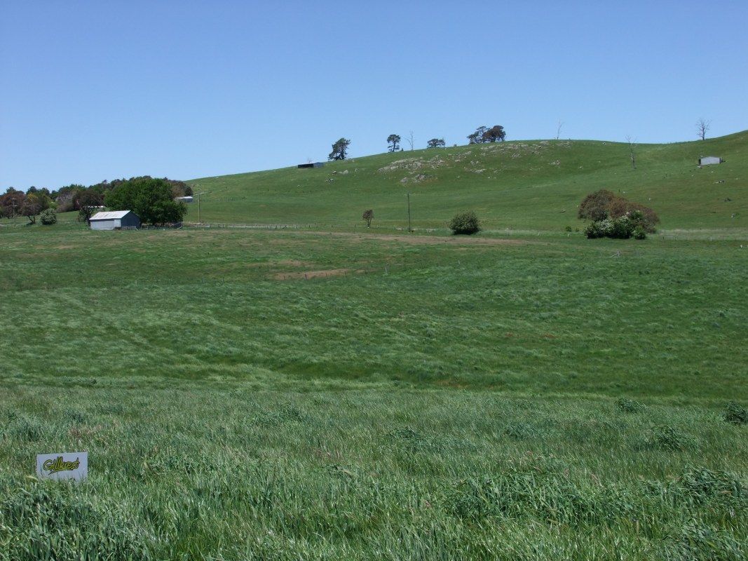 Blayney NSW 2799, Image 0