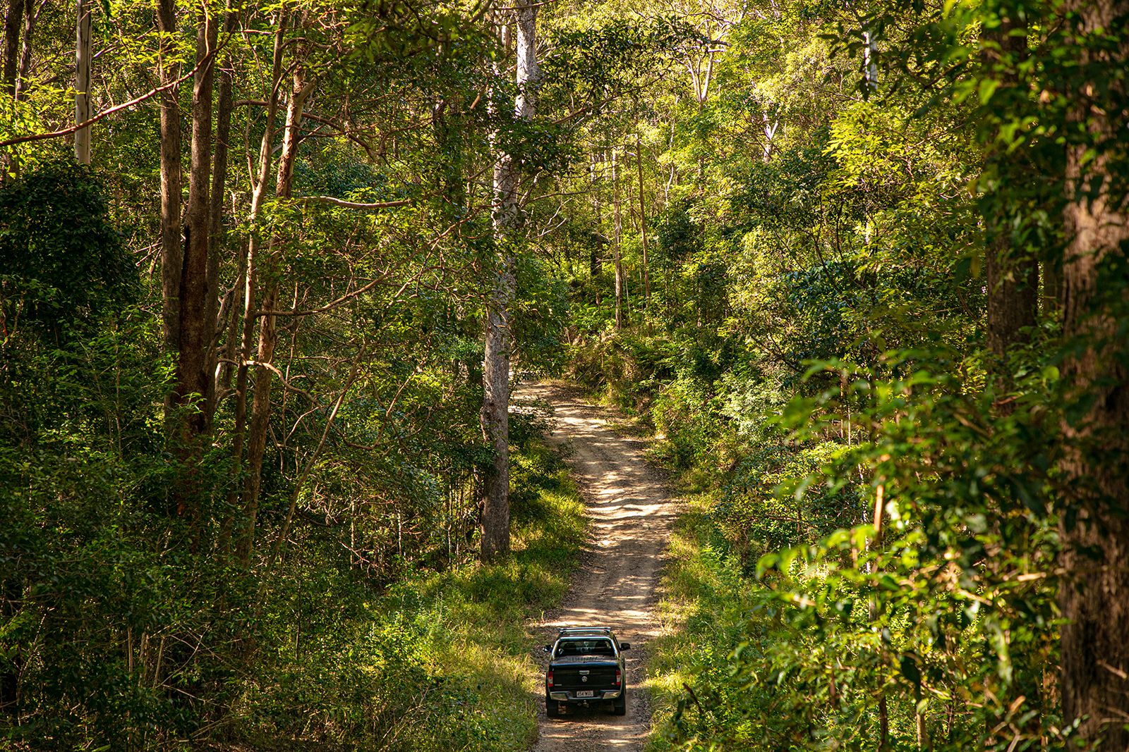 61 Dr Page Road, Conondale QLD 4552, Image 2