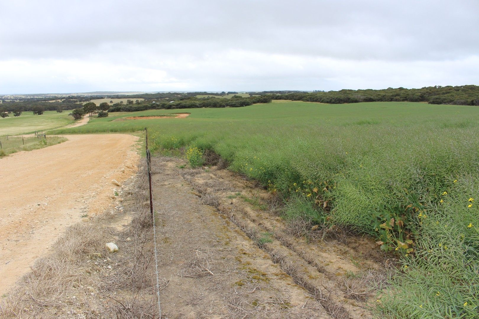 73 Crane Road, Mundulla West SA 5270 Farm for Sale 4,730,000