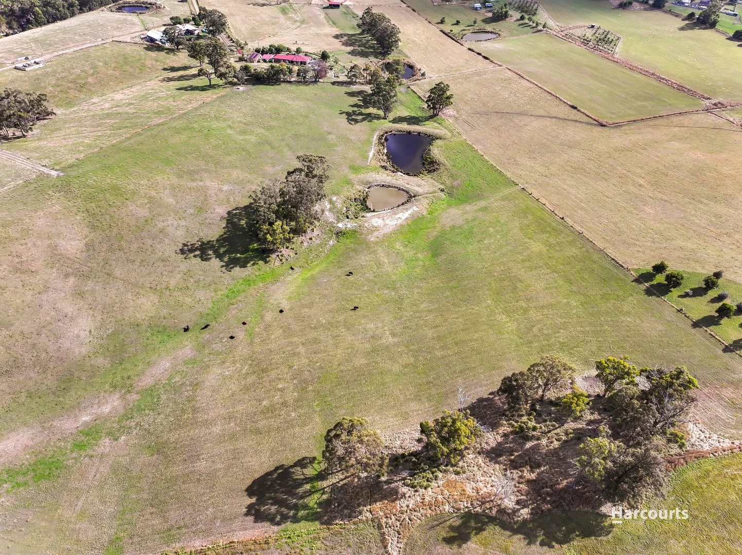 Additional image 52 of 48 Quarry Road, Glen Huon TAS 7109