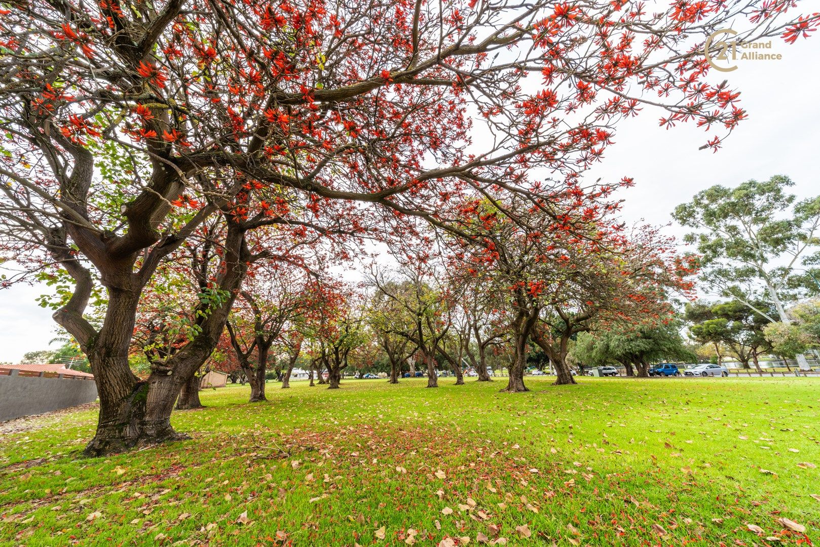 2 bedrooms Apartment / Unit / Flat in 2/96 Cohn Street KEWDALE WA, 6105