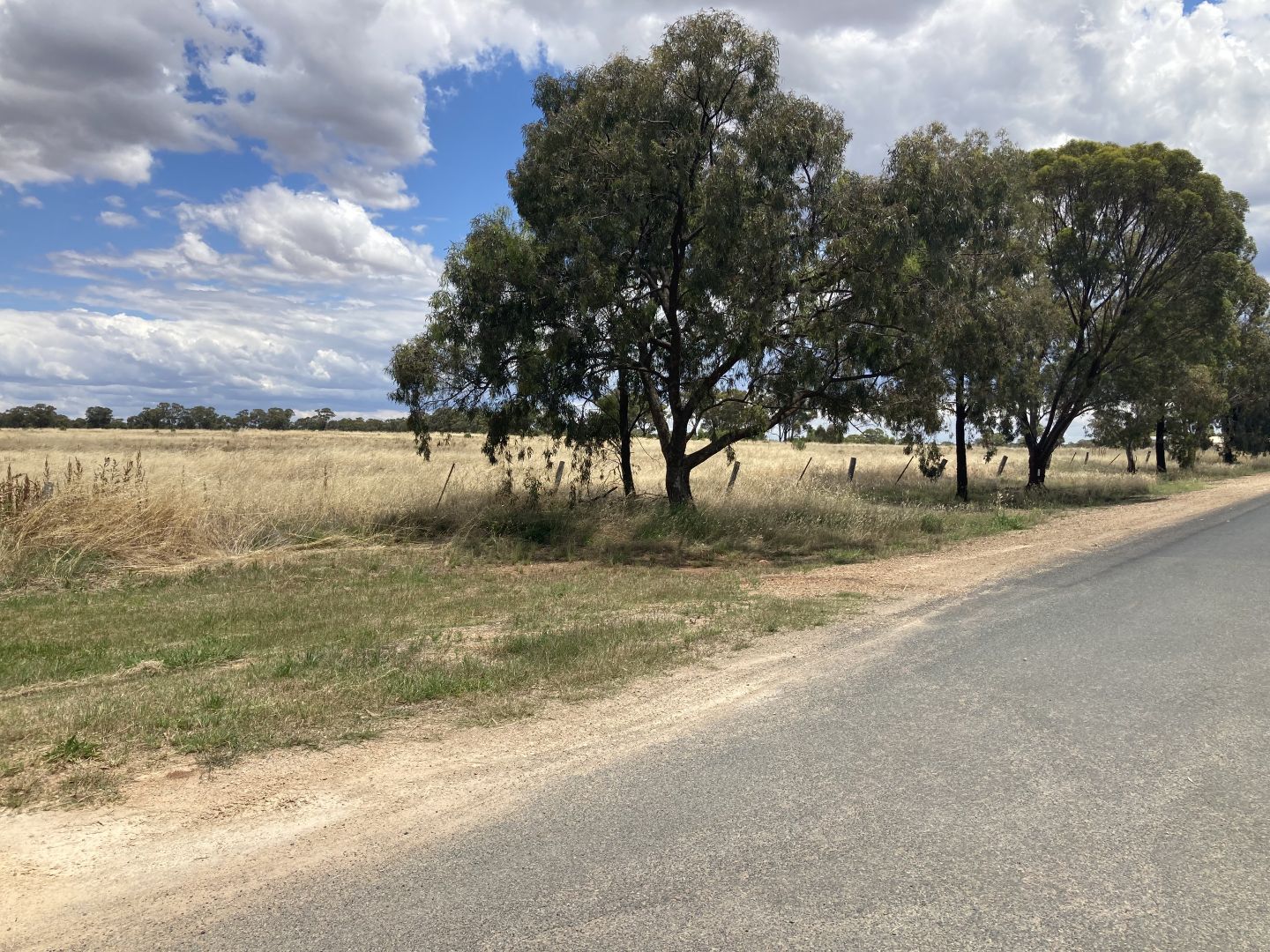 Vesper & Britannia Street, Temora NSW 2666 Domain