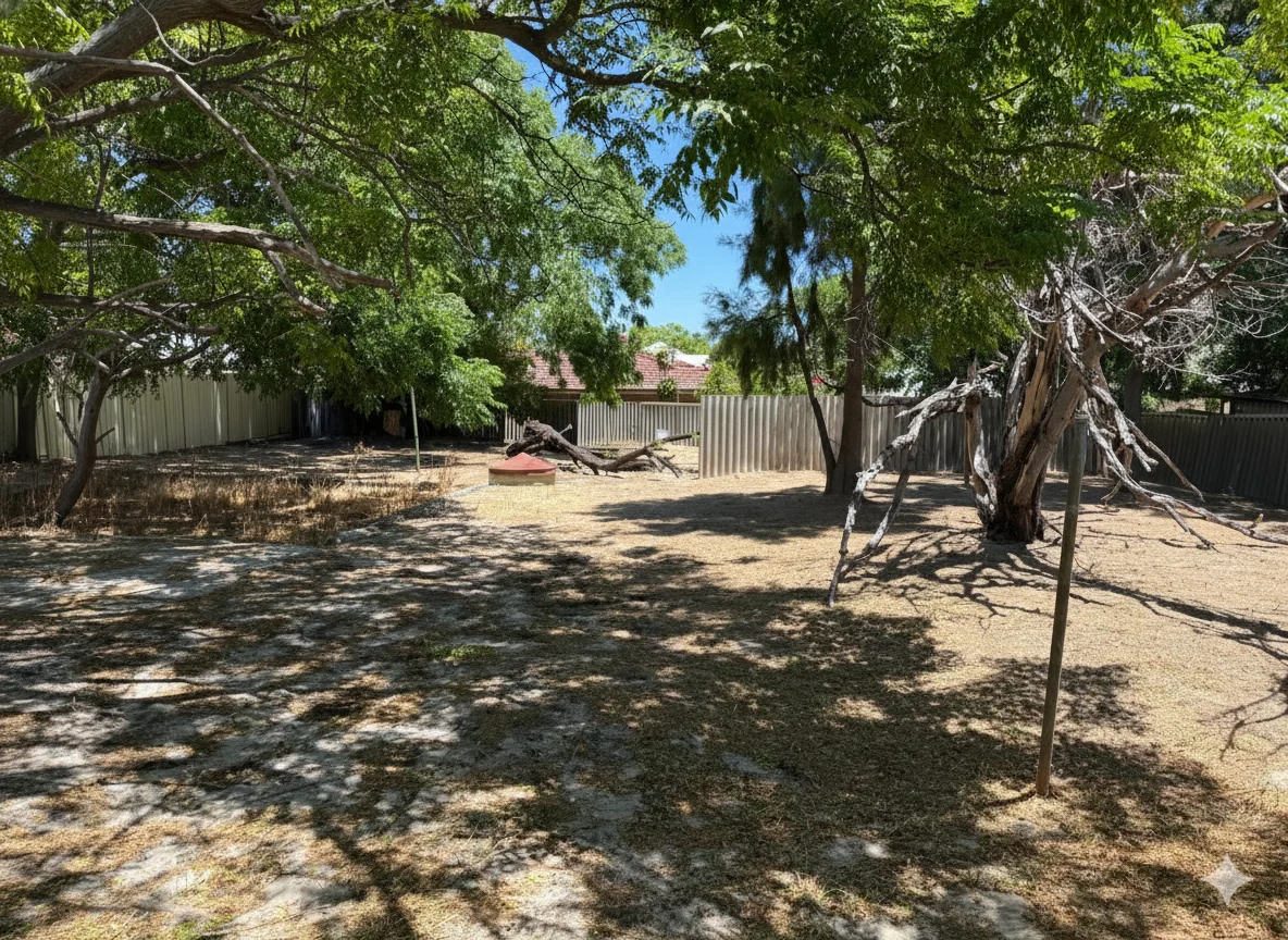 Additional image 5 of 115 Mars Street, Carlisle WA 6101