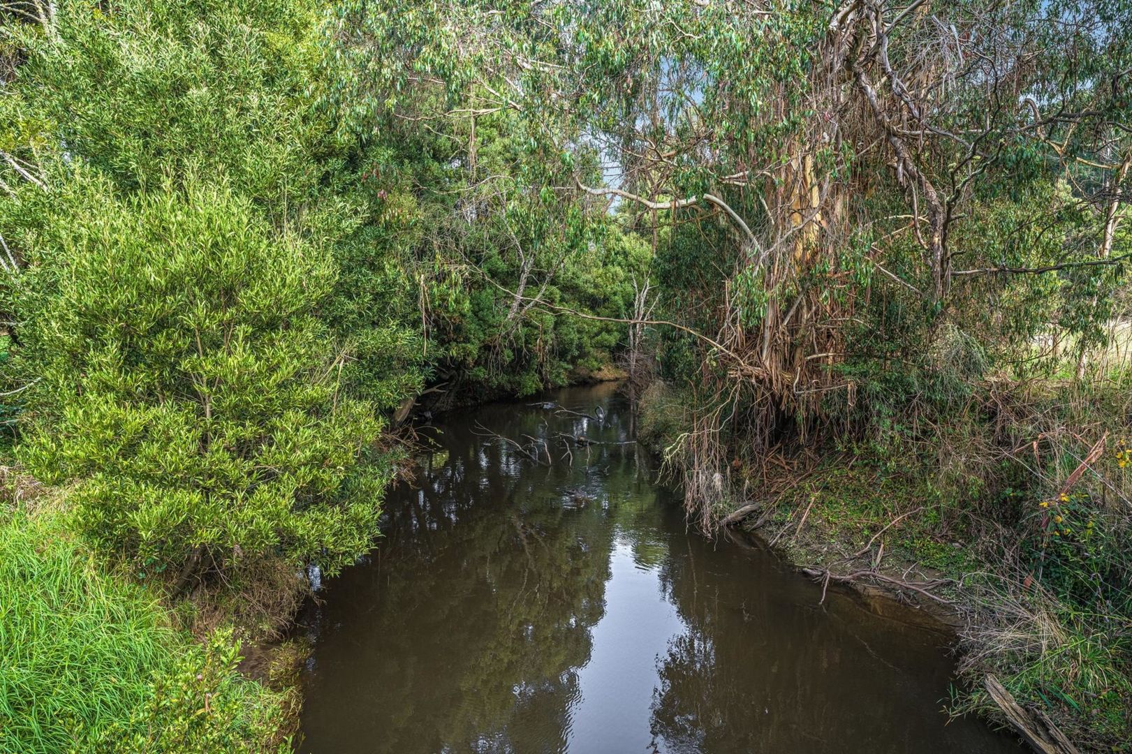 Lot 3, 195 Moomowroong Road, Carlisle River VIC 3239, Image 2