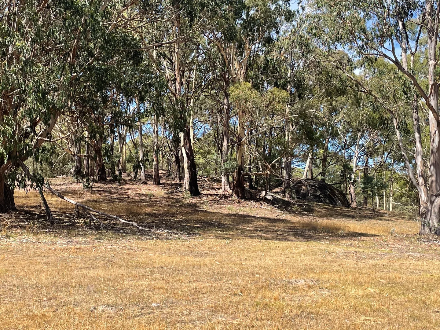 Image 18
