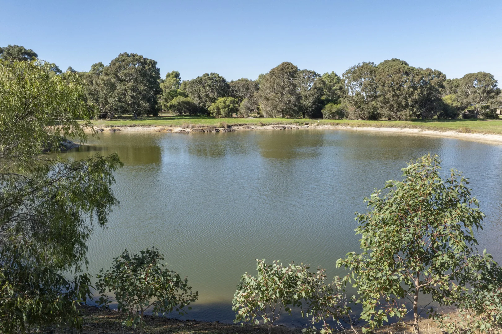 Image 11