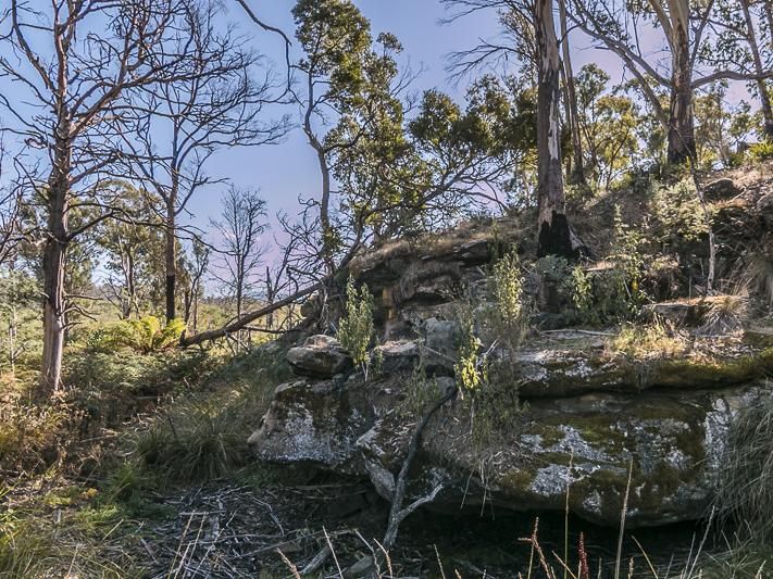 Lot 4 Dawson Road, Ouse TAS 7140, Image 1