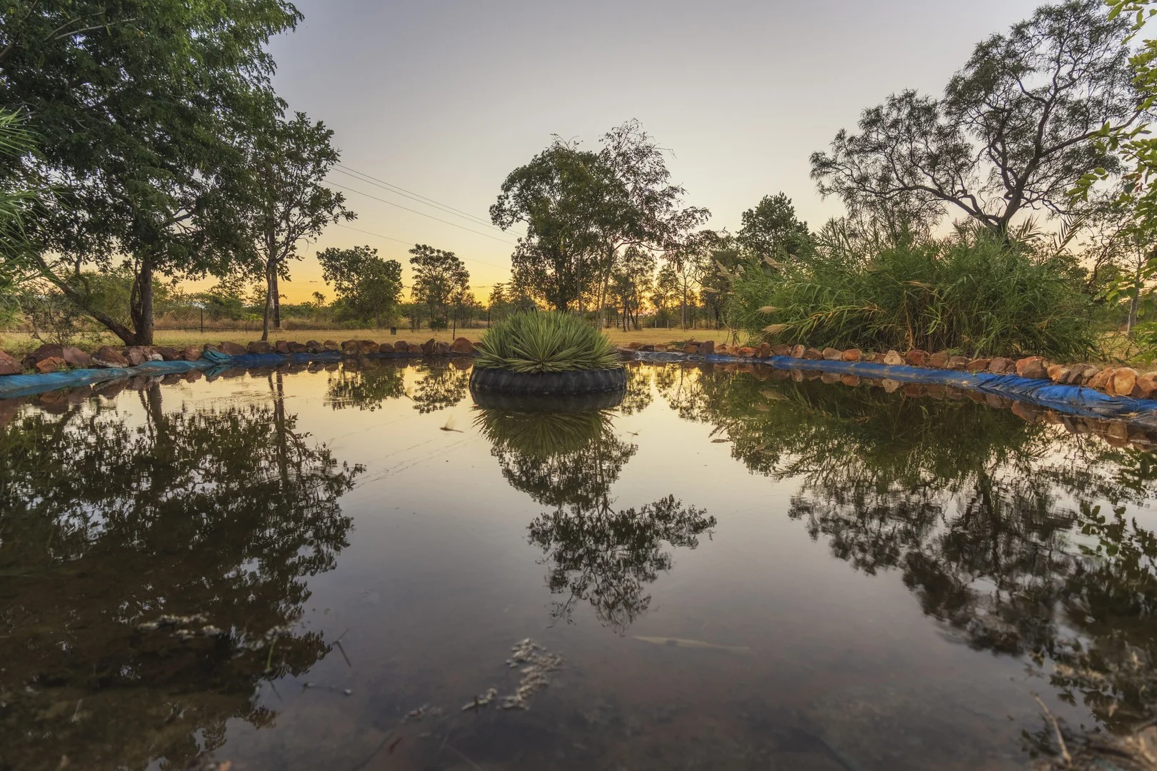 Image 10